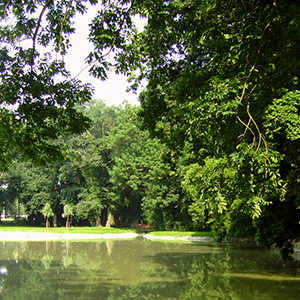 Schlosspark Golßen